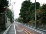 gˎZX